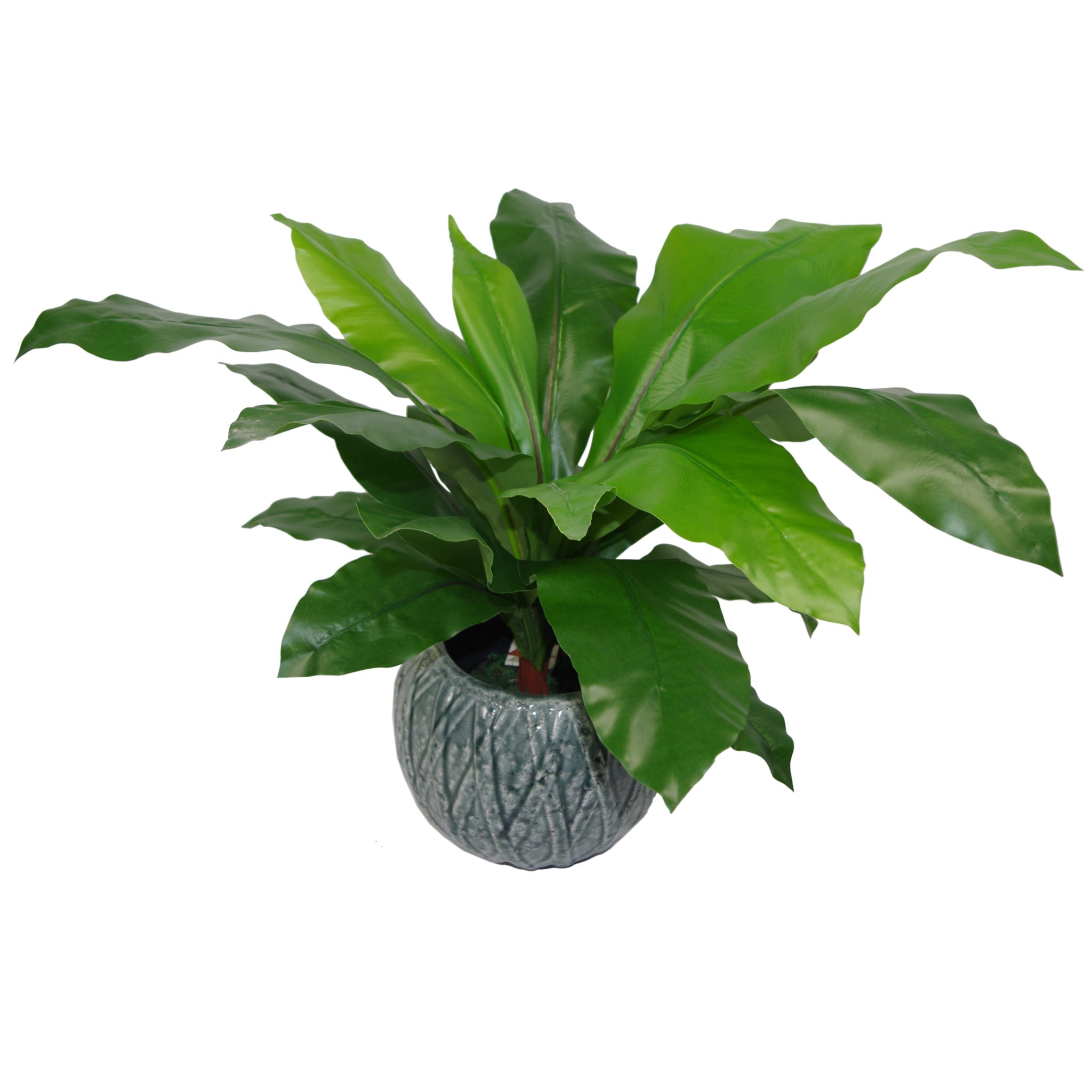 60cm Bushy Large Artificial Bird's Nest Fern Plant