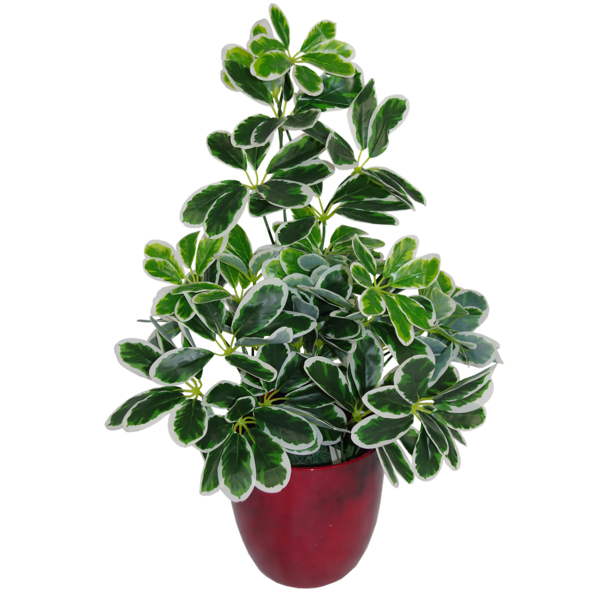 55cm Green Artificial Schefflera Arboricola Plant