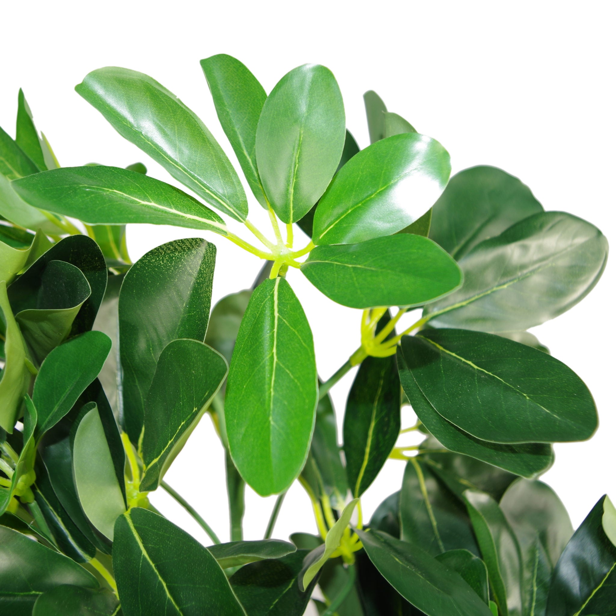 95cm Umbrella Tree Dark Green Artificial Ficus Plant