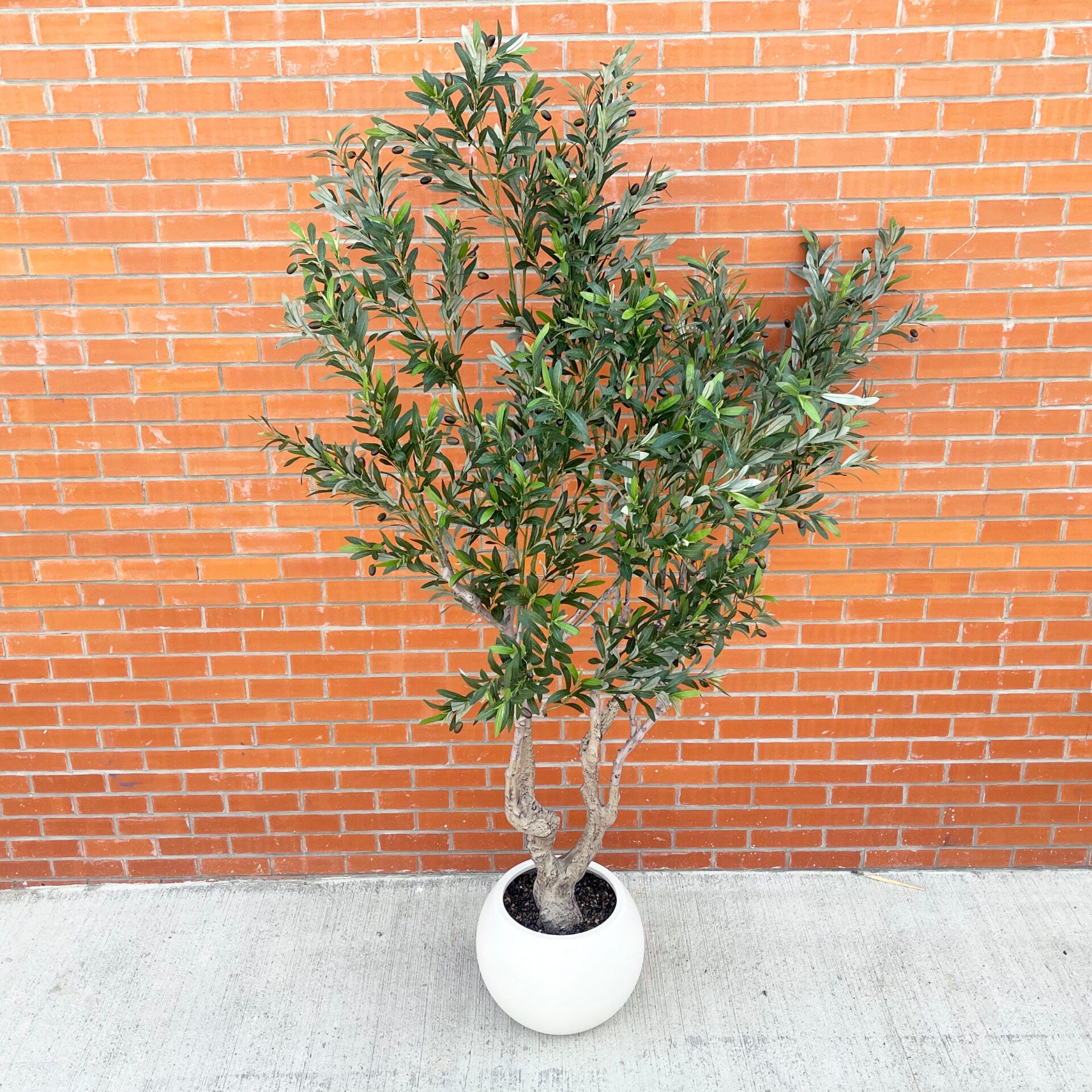 XXL Artificial Olive Tree 2.5m (250cm) Width: 160 cm With decorative planter