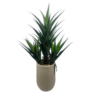110cm Artificial Agave Tropical Display in Pot Artificial