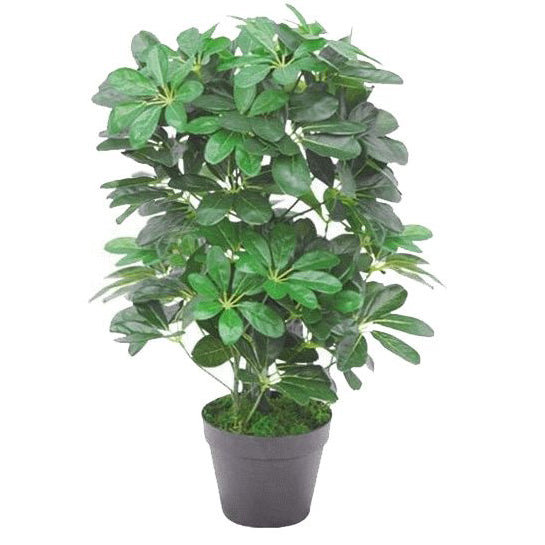 55cm Green Artificial Schefflera Arboricola Plant