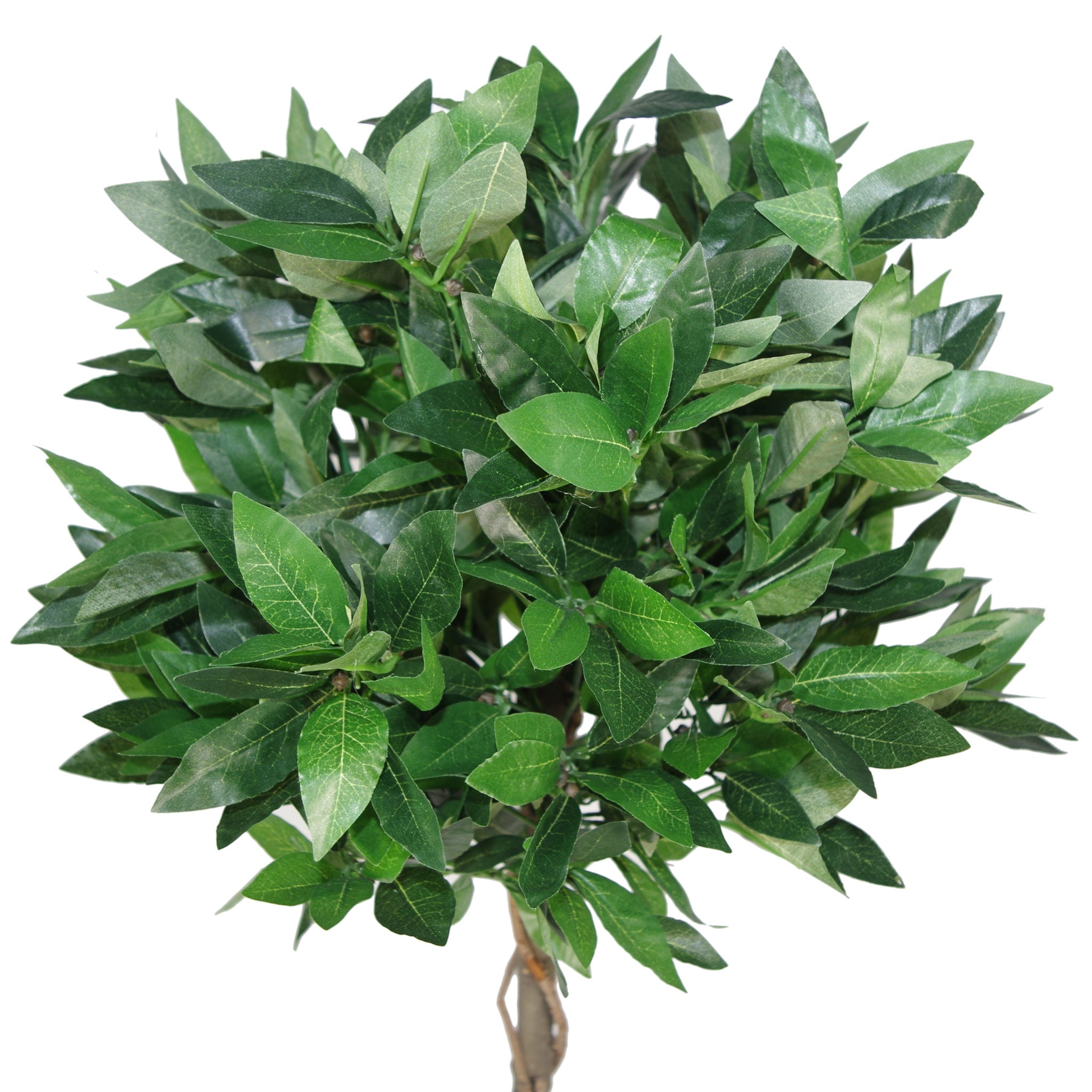 Artificial Bay Trees Natural Straight Trunk Topiary Bay Laurel Ball Tree