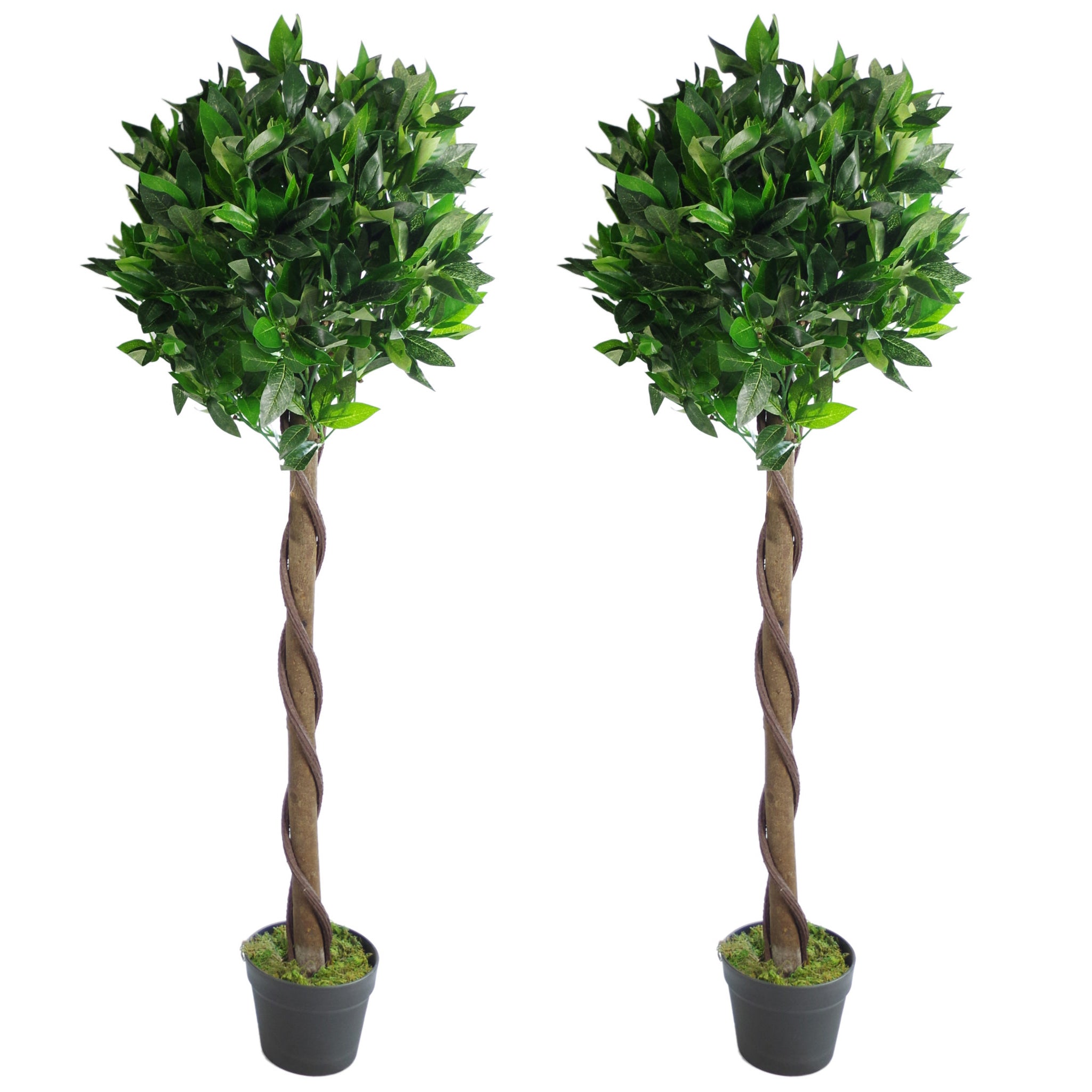 Artificial Bay Trees Natural Twist Trunk Topiary Bay Laurel Ball Tree