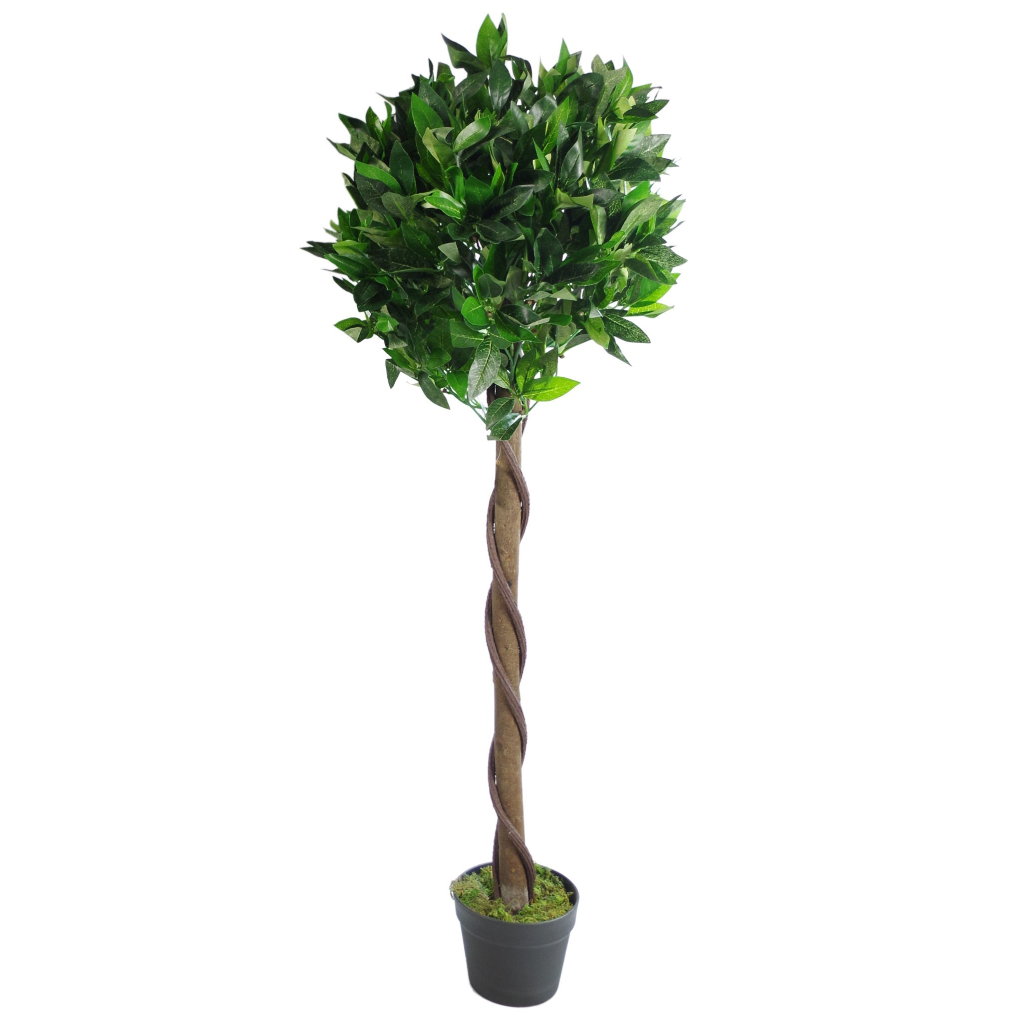 Artificial Bay Trees Natural Twist Trunk Topiary Bay Laurel Ball Tree