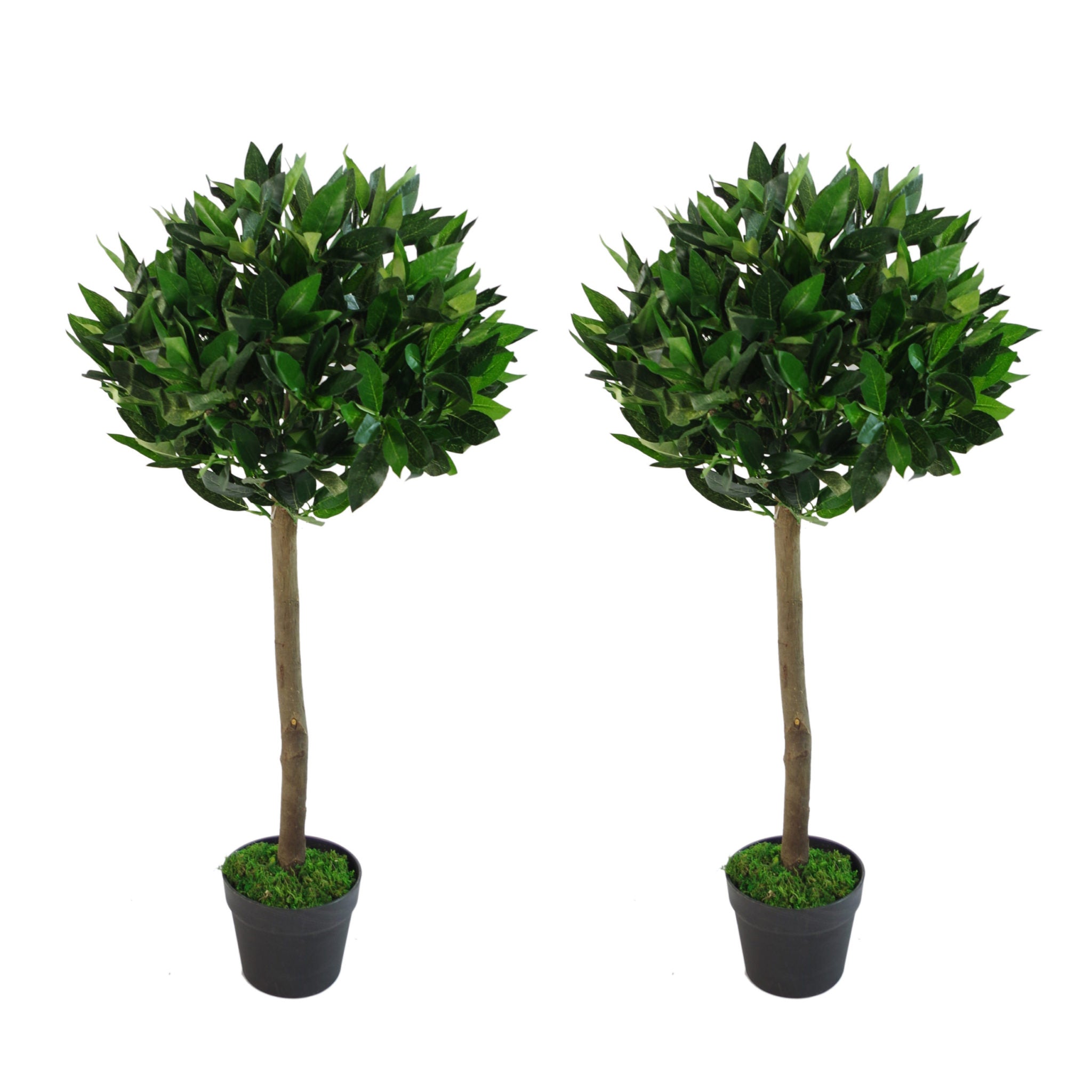 Artificial Bay Trees Natural Straight Trunk Topiary Bay Laurel Ball Tree