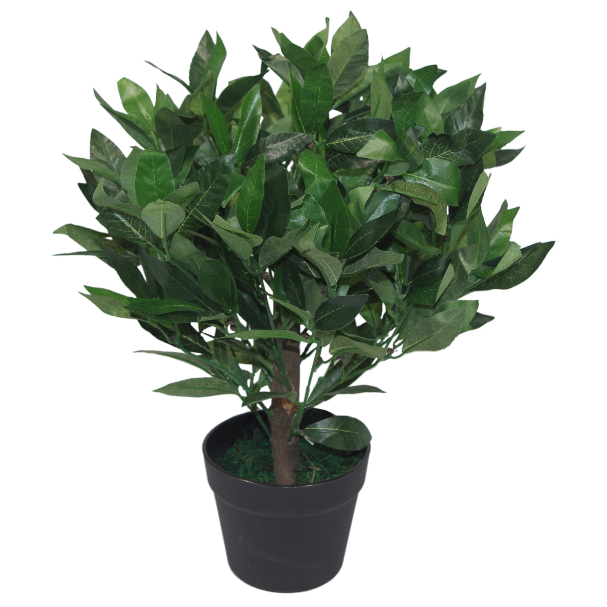50cm Dwarf Artificial Bay Tree Laurel Topiary Bush