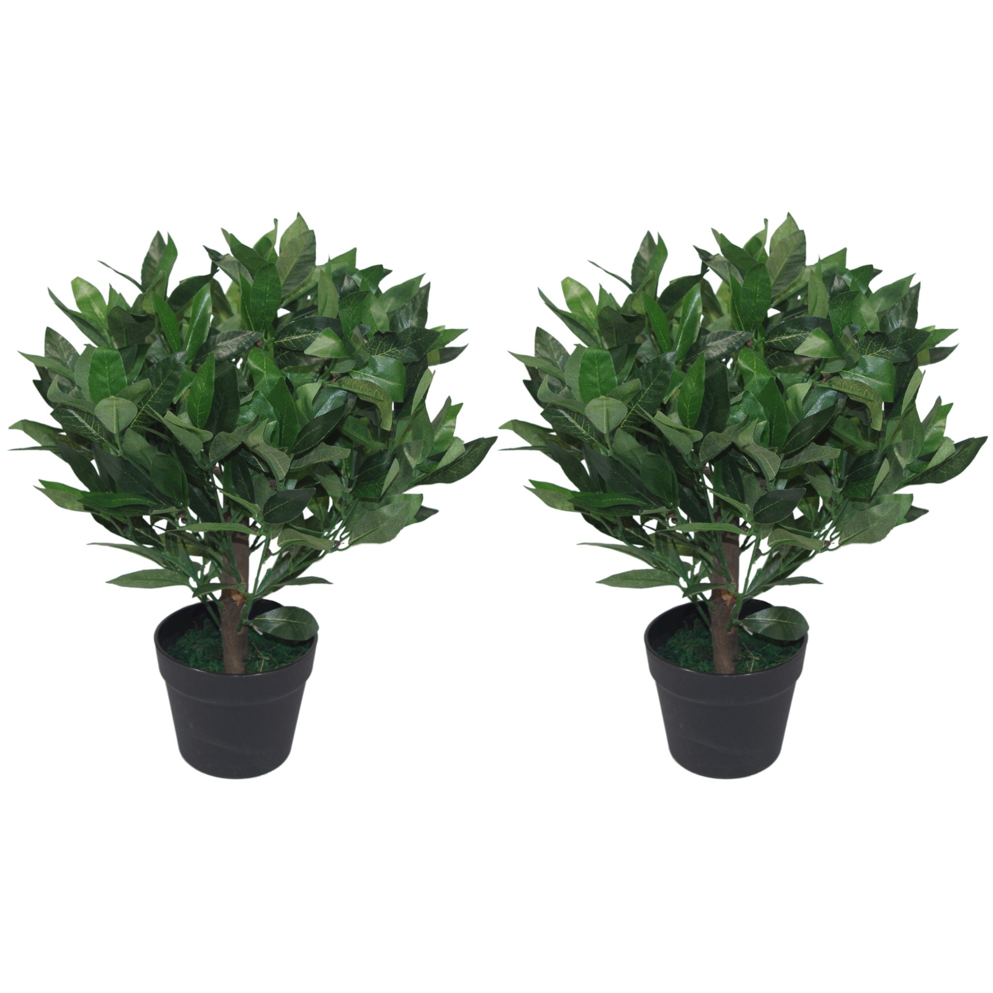 50cm Dwarf Artificial Bay Tree Laurel Topiary Bush