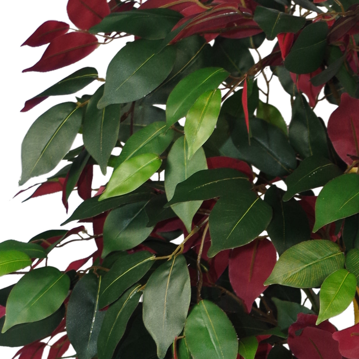 120cm (4ft) Artificial Capensia Red Ficus Tree Ficus Plant - Extra Large