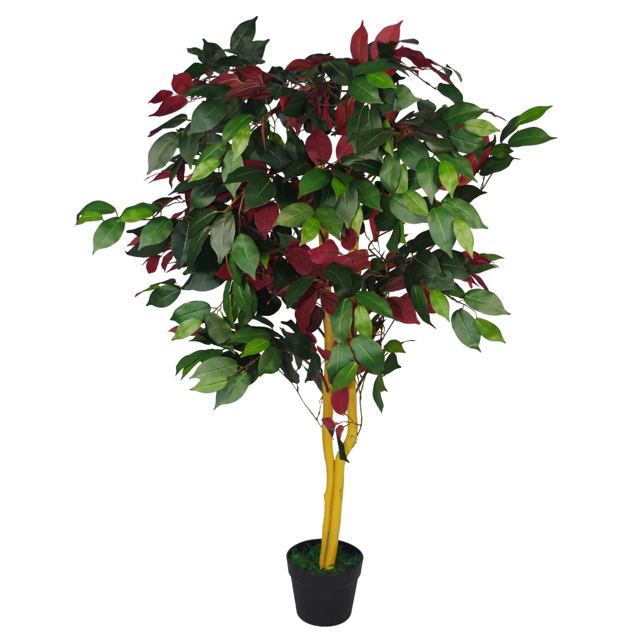120cm (4ft) Artificial Capensia Red Ficus Tree Ficus Plant - Extra Large