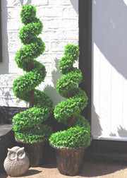 Green Large Leaf Spiral with Decorative Planter