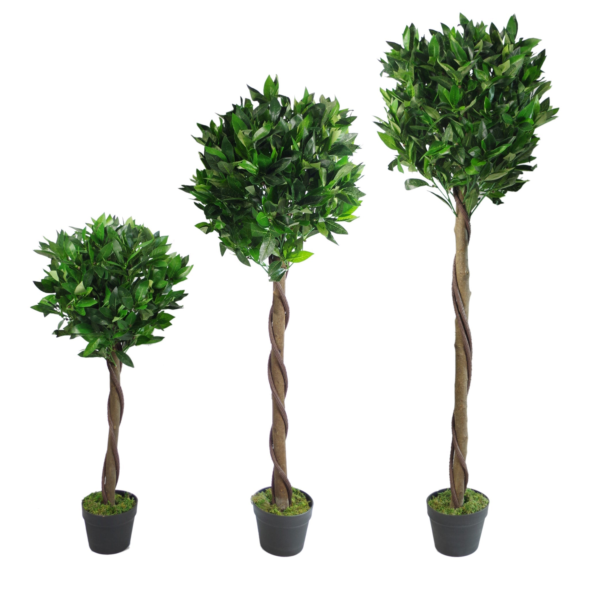 Artificial Bay Trees Natural Twist Trunk Topiary Bay Laurel Ball Tree