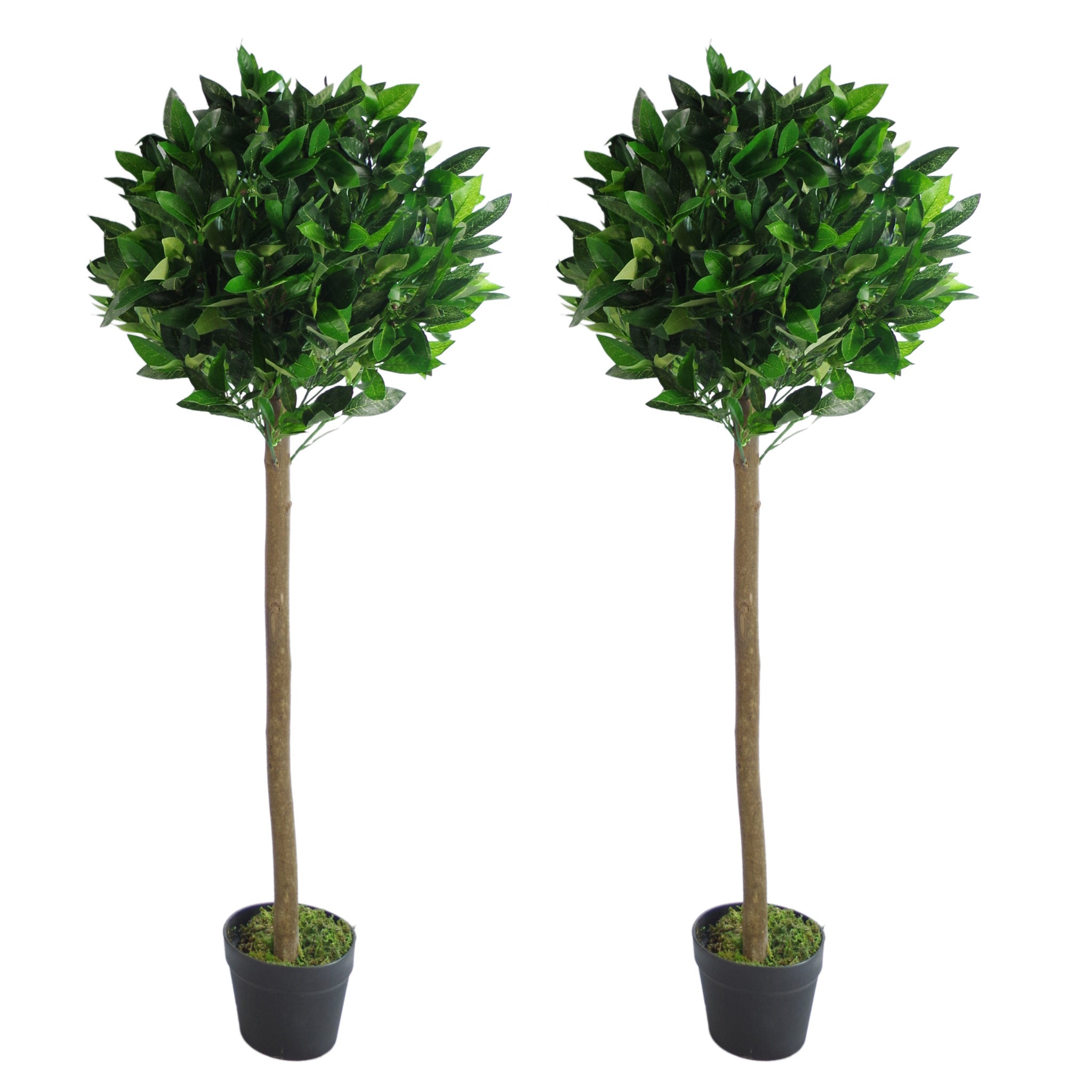 Artificial Bay Trees Natural Straight Trunk Topiary Bay Laurel Ball Tree
