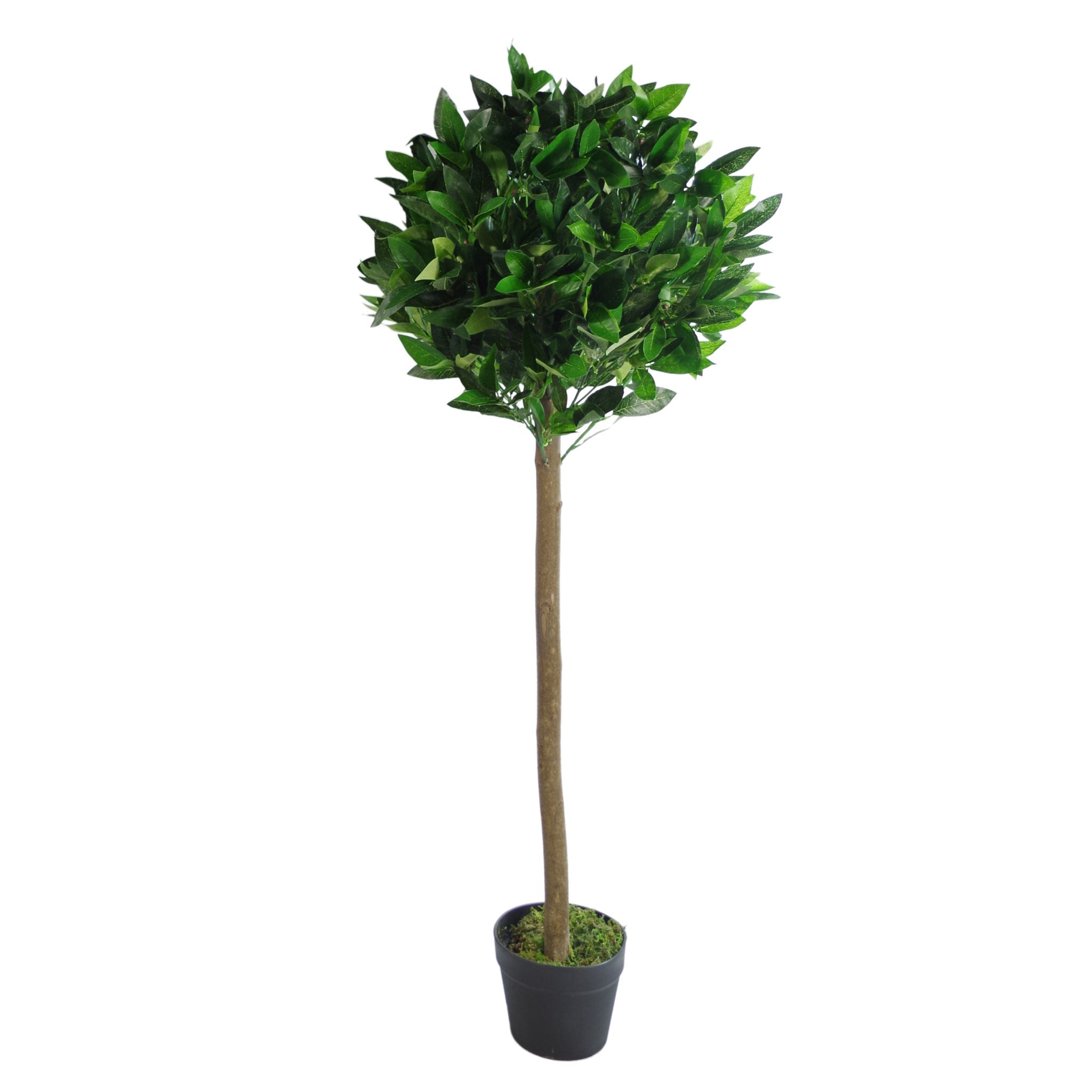 Artificial Bay Trees Natural Straight Trunk Topiary Bay Laurel Ball Tree