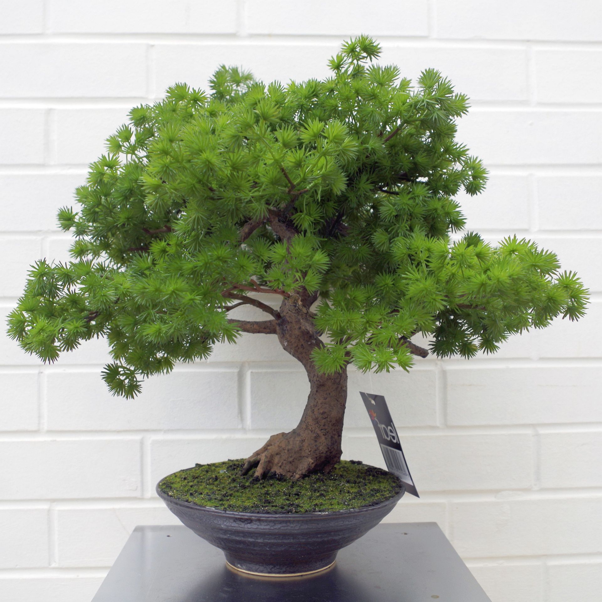 bonsai tree fake 50cm Artificial Luxury Pine Bonsai Tree