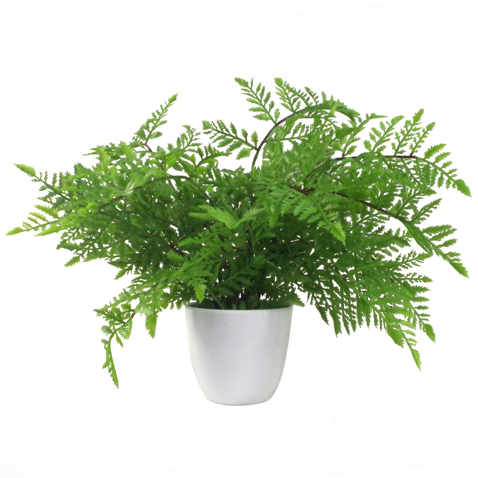 Pack of 3 x 30cm Artificial Ferns - Southern Wood - Lady and Royal - Potted