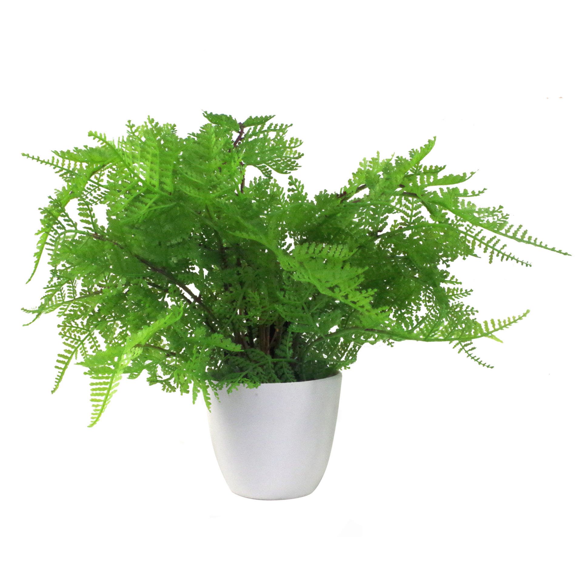 Pack of 3 x 30cm Artificial Ferns - Southern Wood - Lady and Royal - Potted