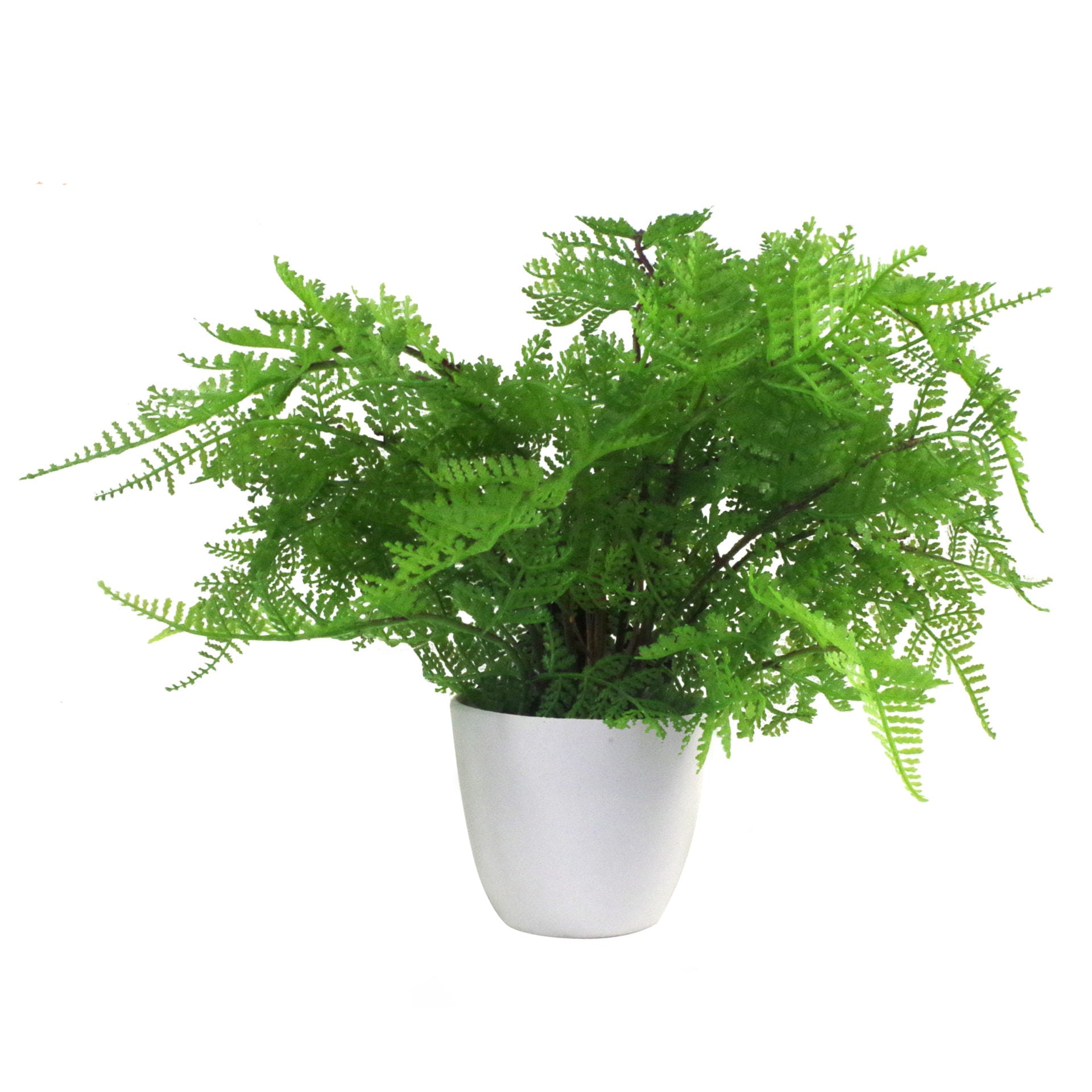 30cm Artificial Potted Southern Wood Fern