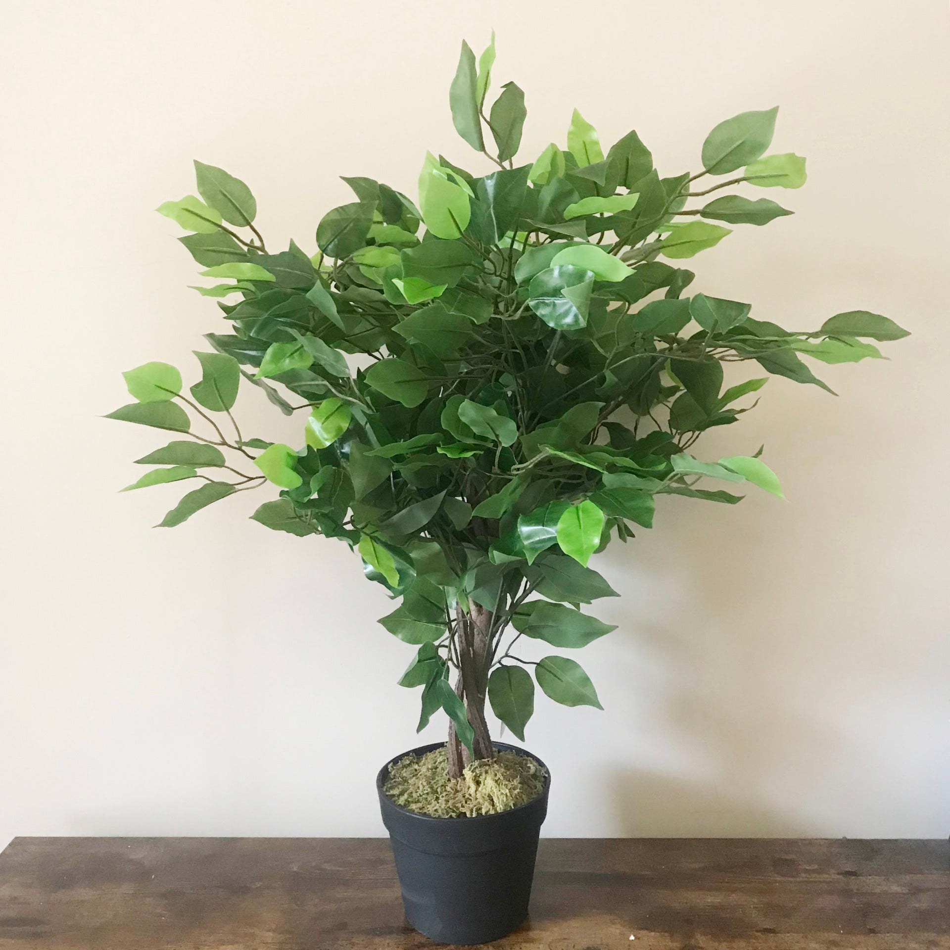 60cm Artificial Ficus Tree / Plant - Large Bushy Shape