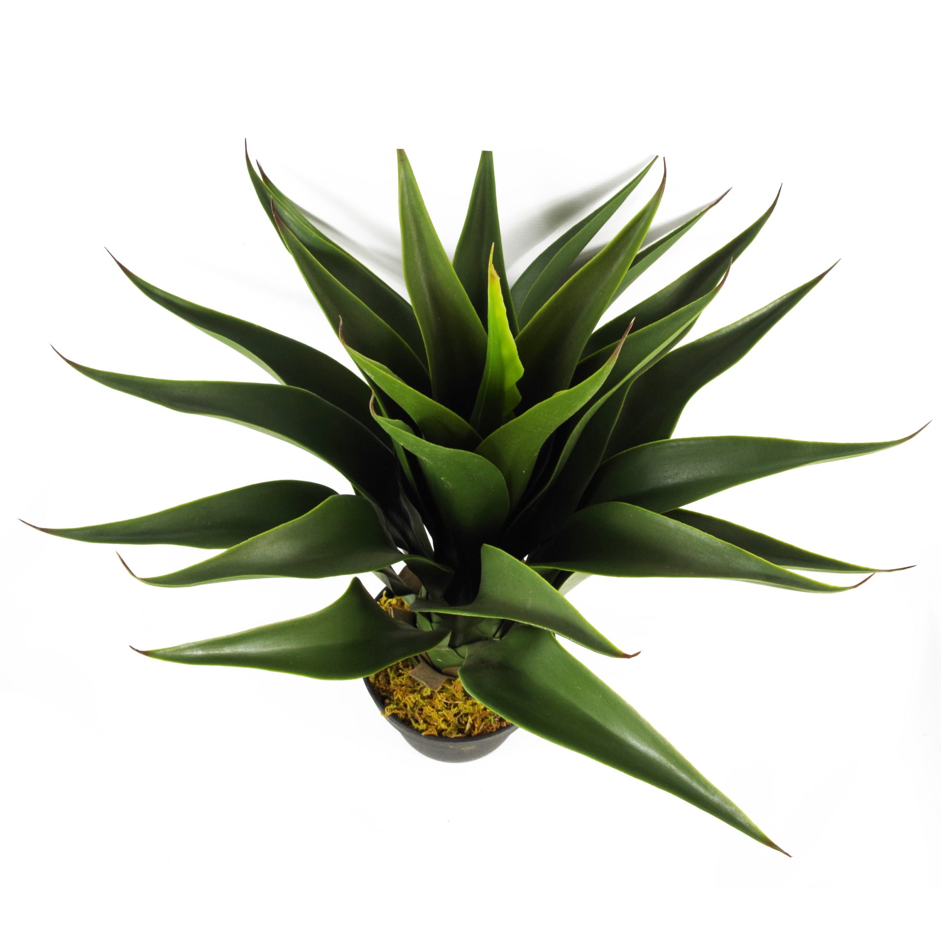 55cm Artificial Yucca Plant
