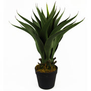 55cm Artificial Yucca Plant
