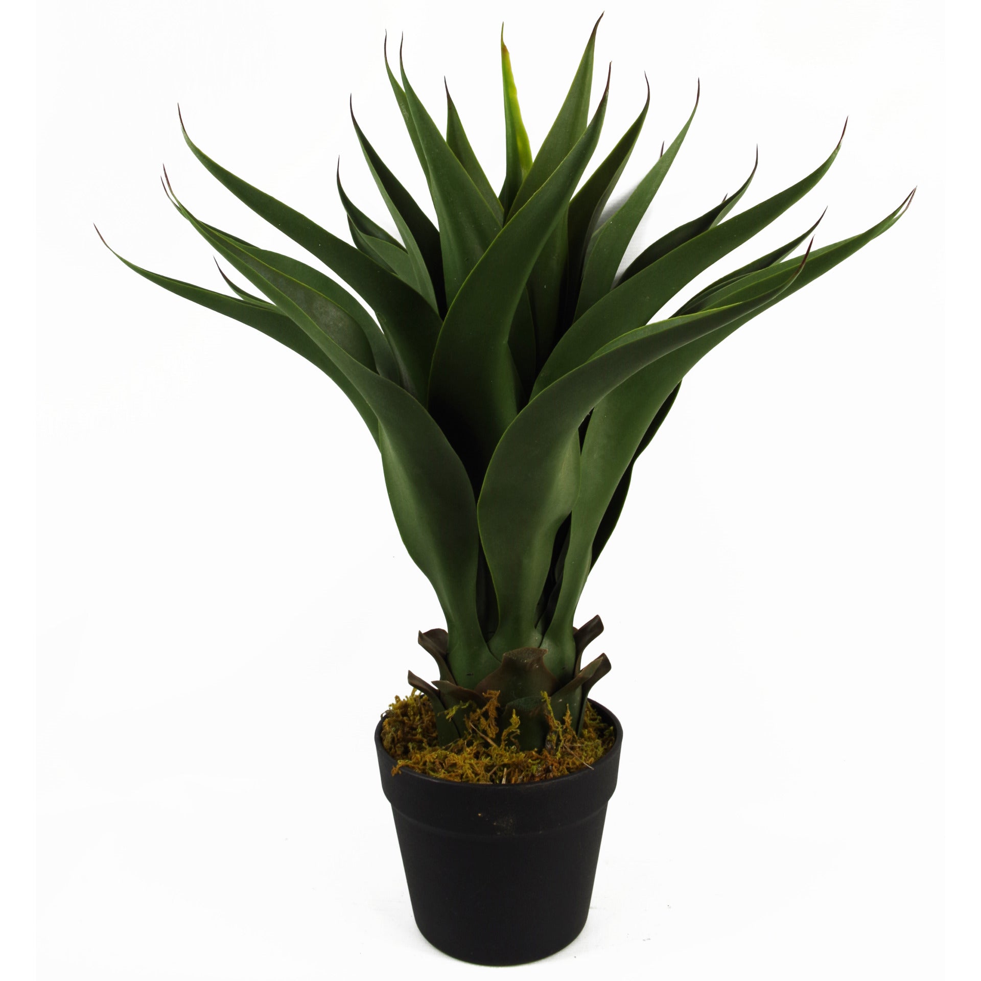 55cm Artificial Yucca Plant