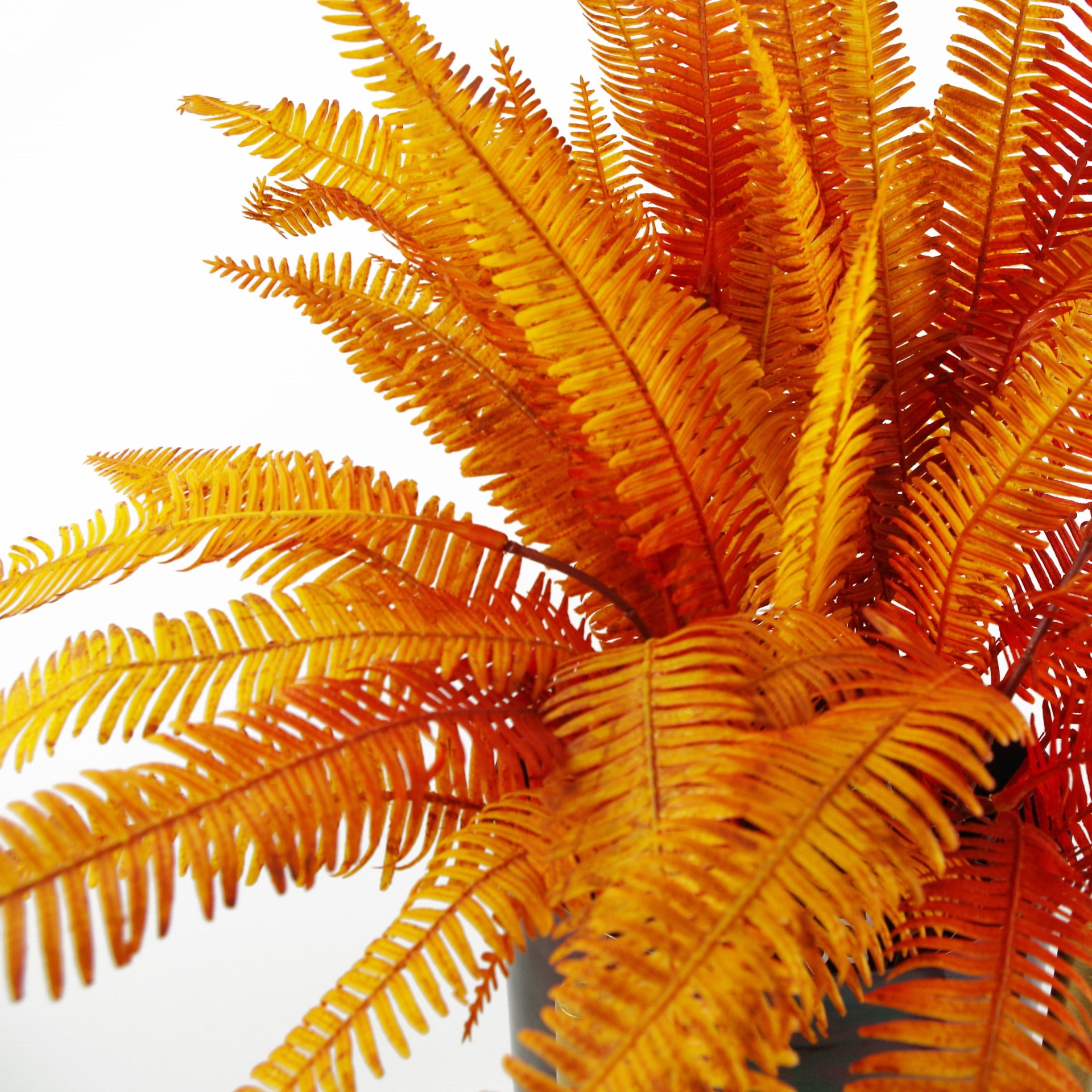 55cm Artificial Autumn Fern Bush Plant