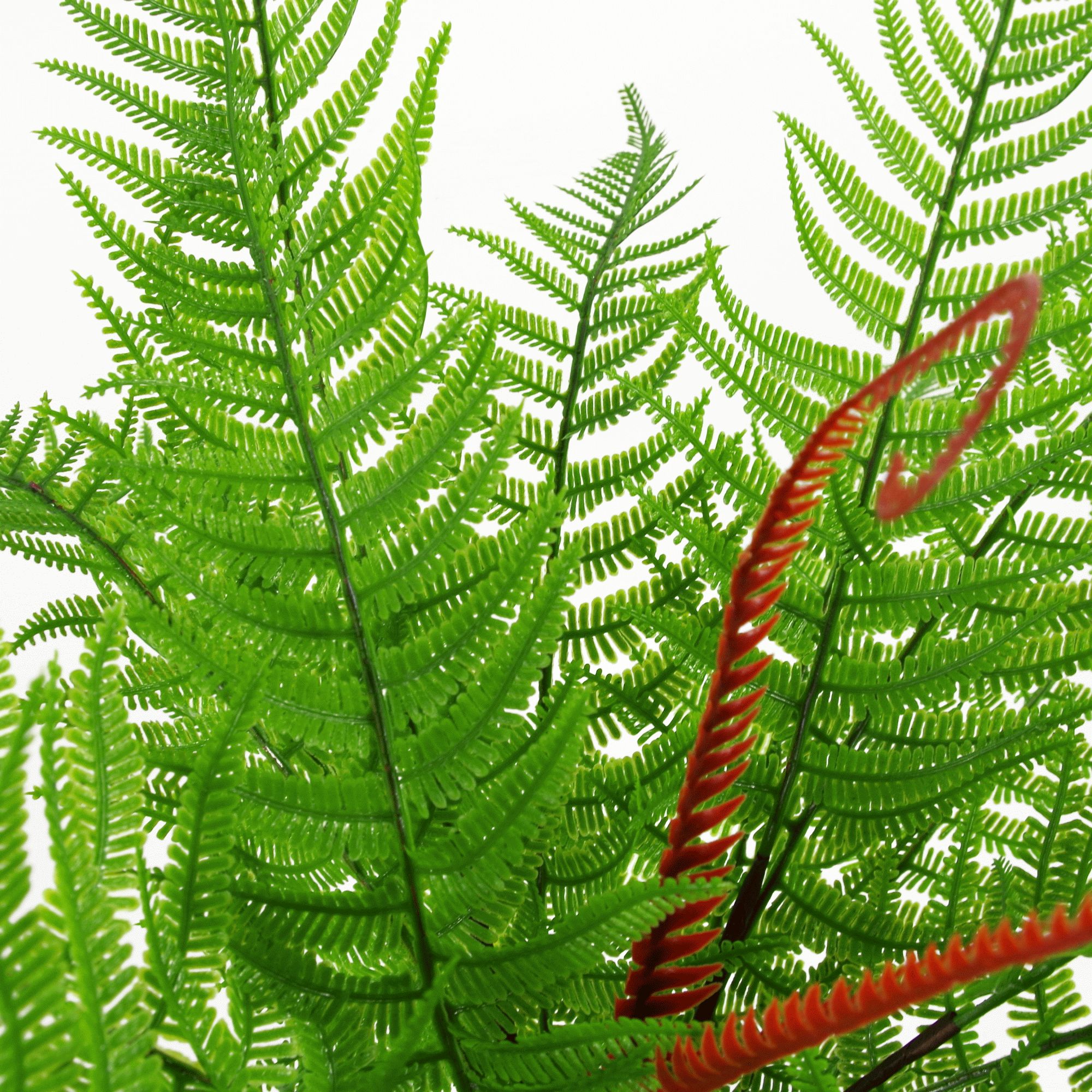 60cm Artificial Bushy Dixie Wood Fern Faux Green Plant