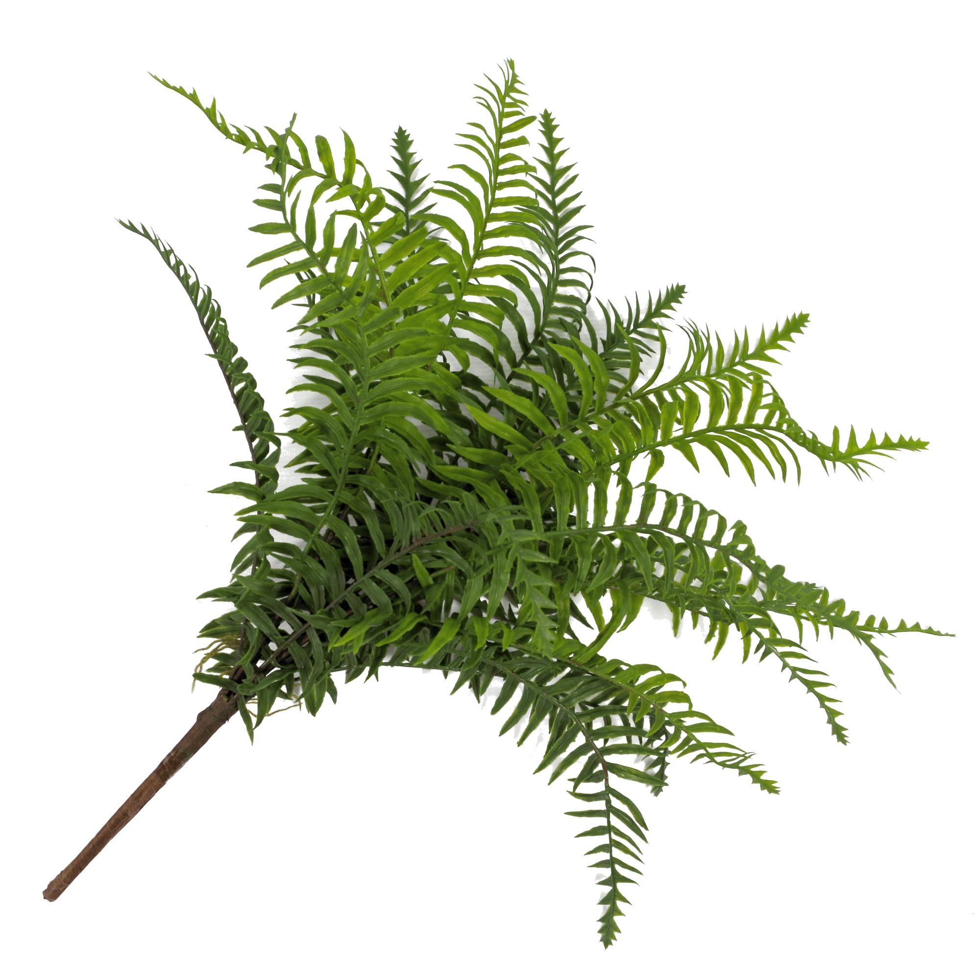 50cm Artificial Boston Fronded Fern Plant