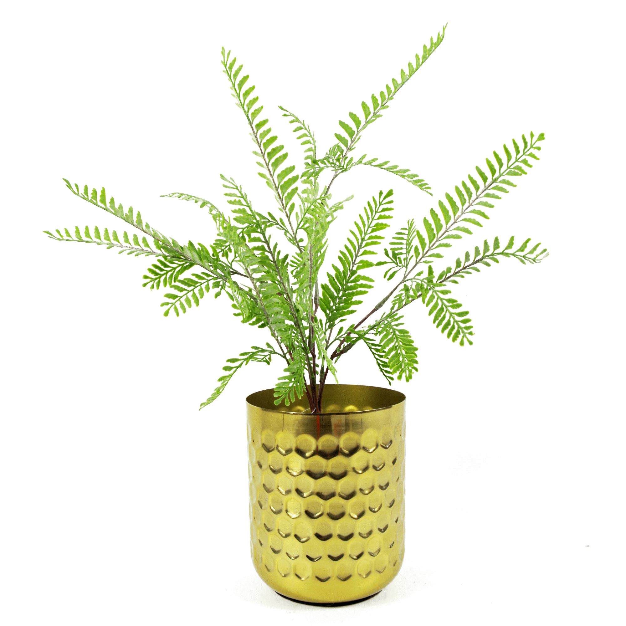 55cm Himilayan Maidenhair Fern Bush Artificial Green Plant