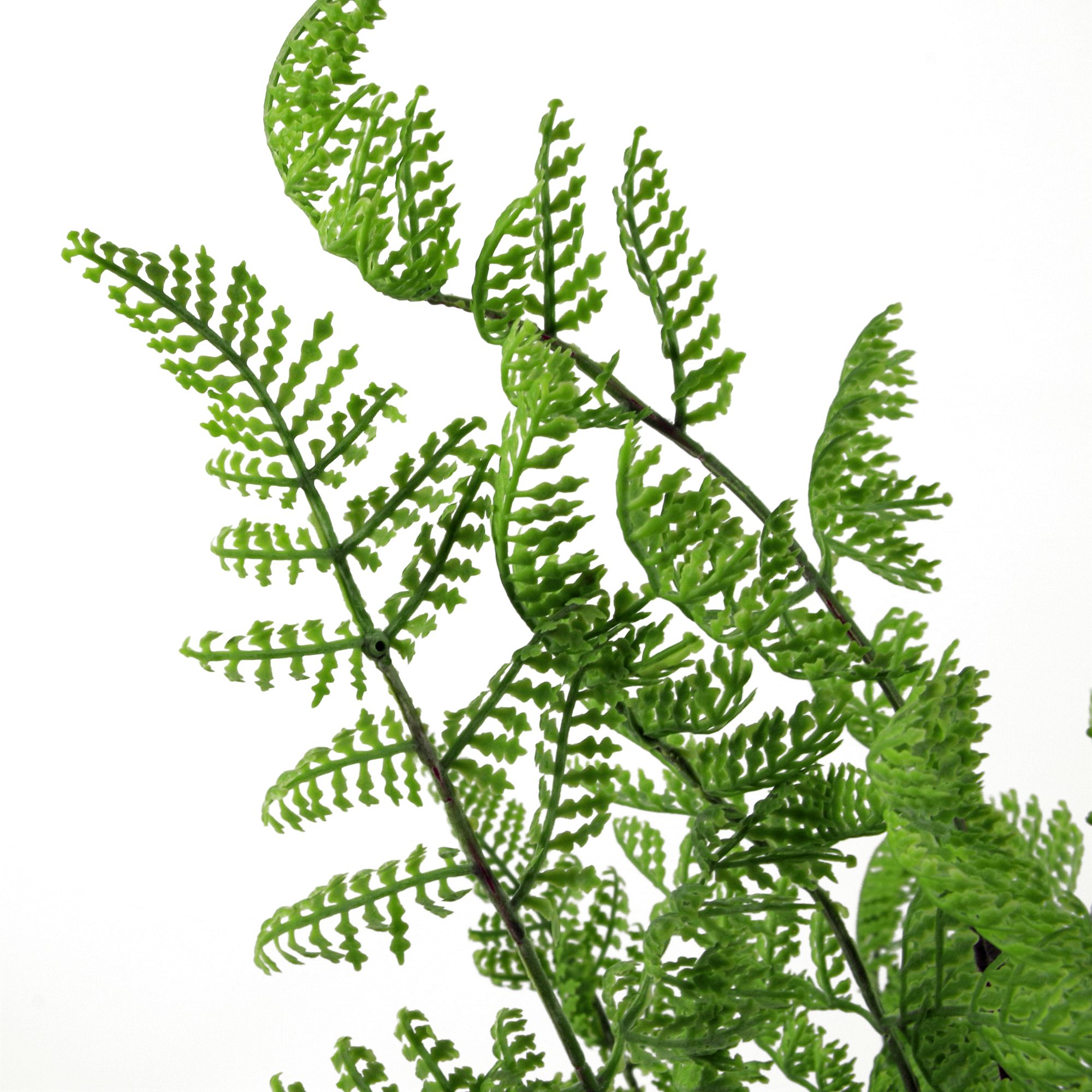 50cm Southern Wood Fern Bush Artificial Plant