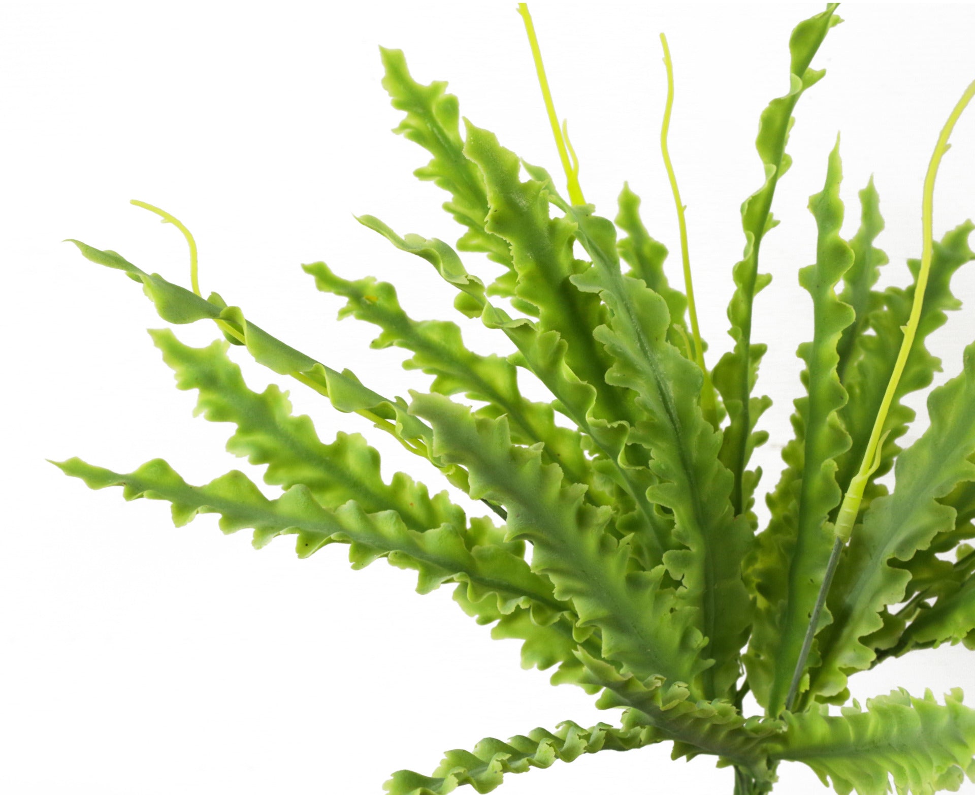 40cm Artificial Crocodile Fern Plant