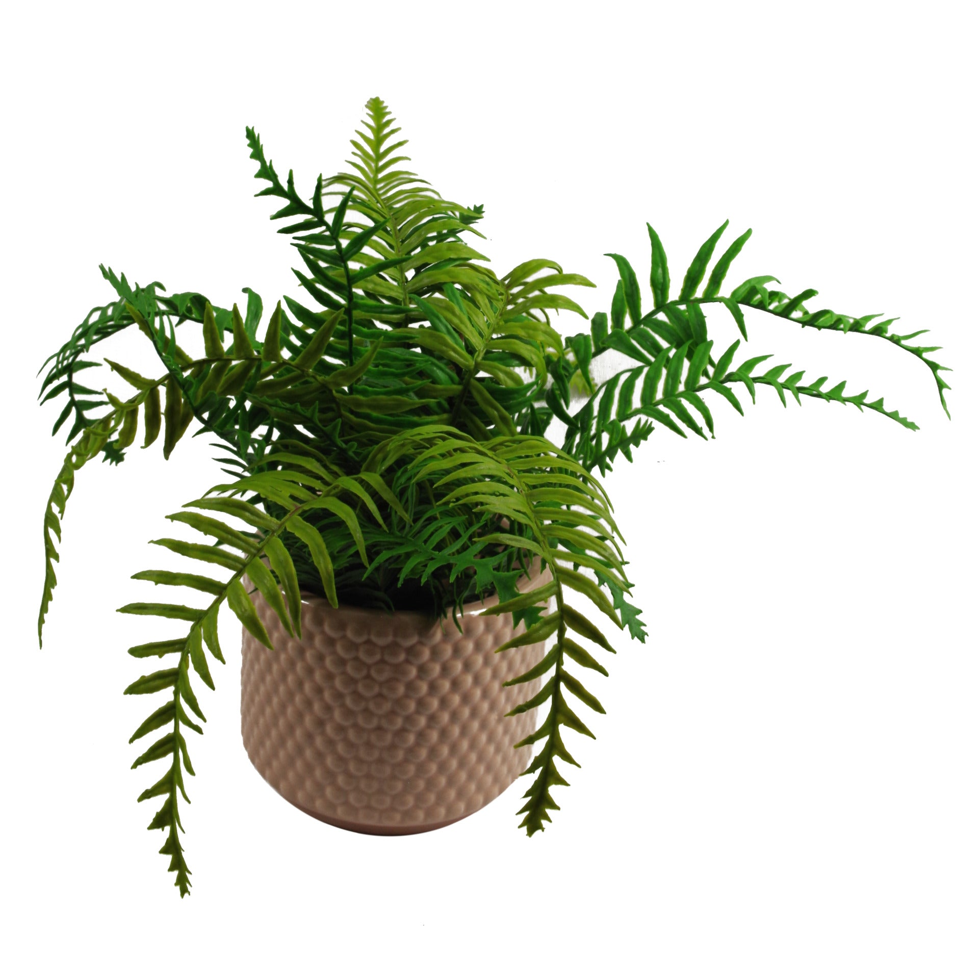 Dusty Pink Peach Raised Dots Ceramic Plant Pot 15 x 15 x 12.5cm