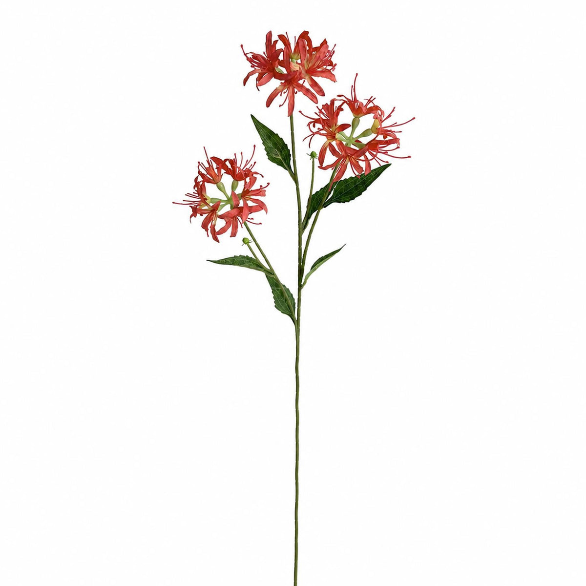 72cm Artificial Spider Lily Flower Stem