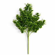 75cm Künstlicher Buchsbaum & knospiger Buschstamm
