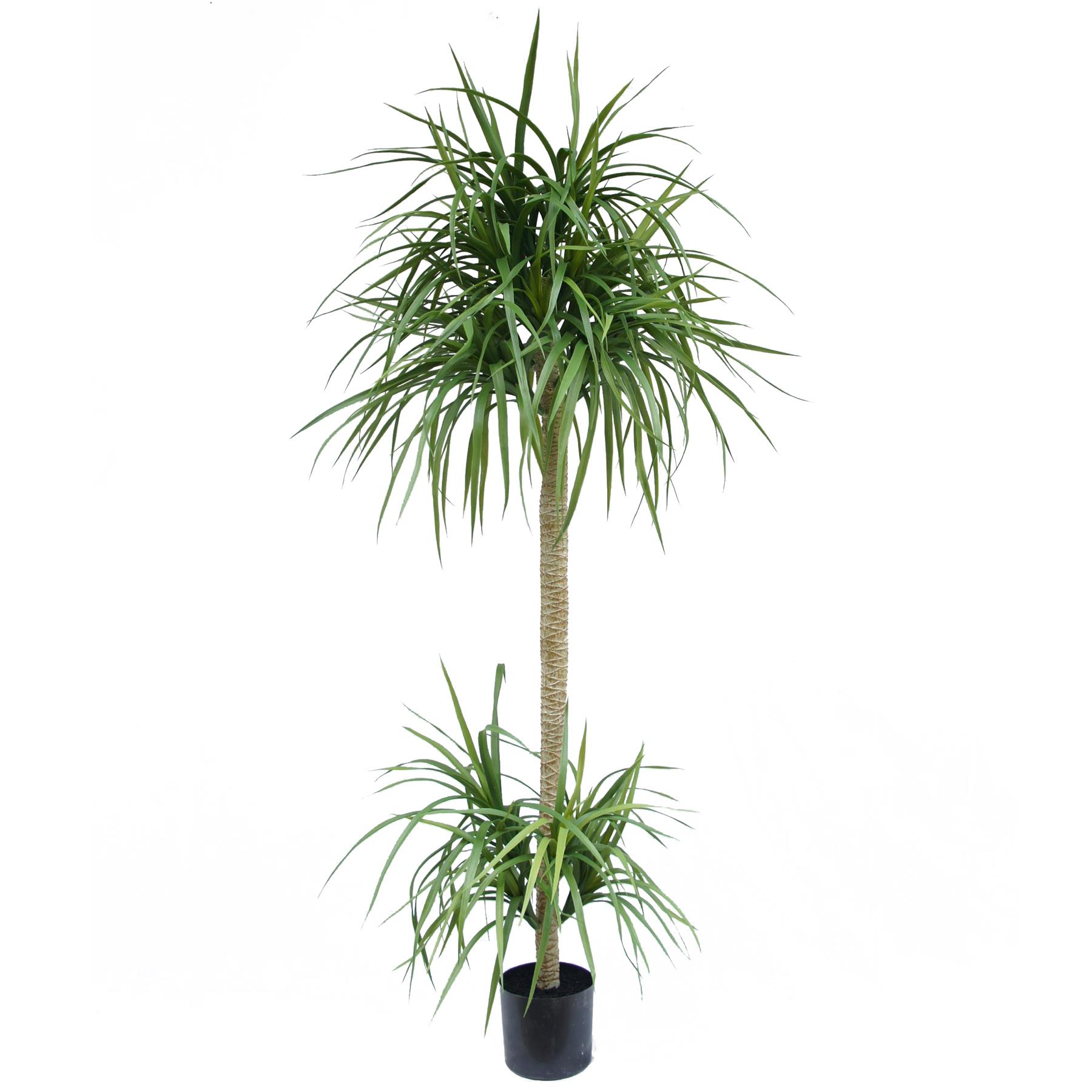 180cm Dracaena Realistic Artificial Tree