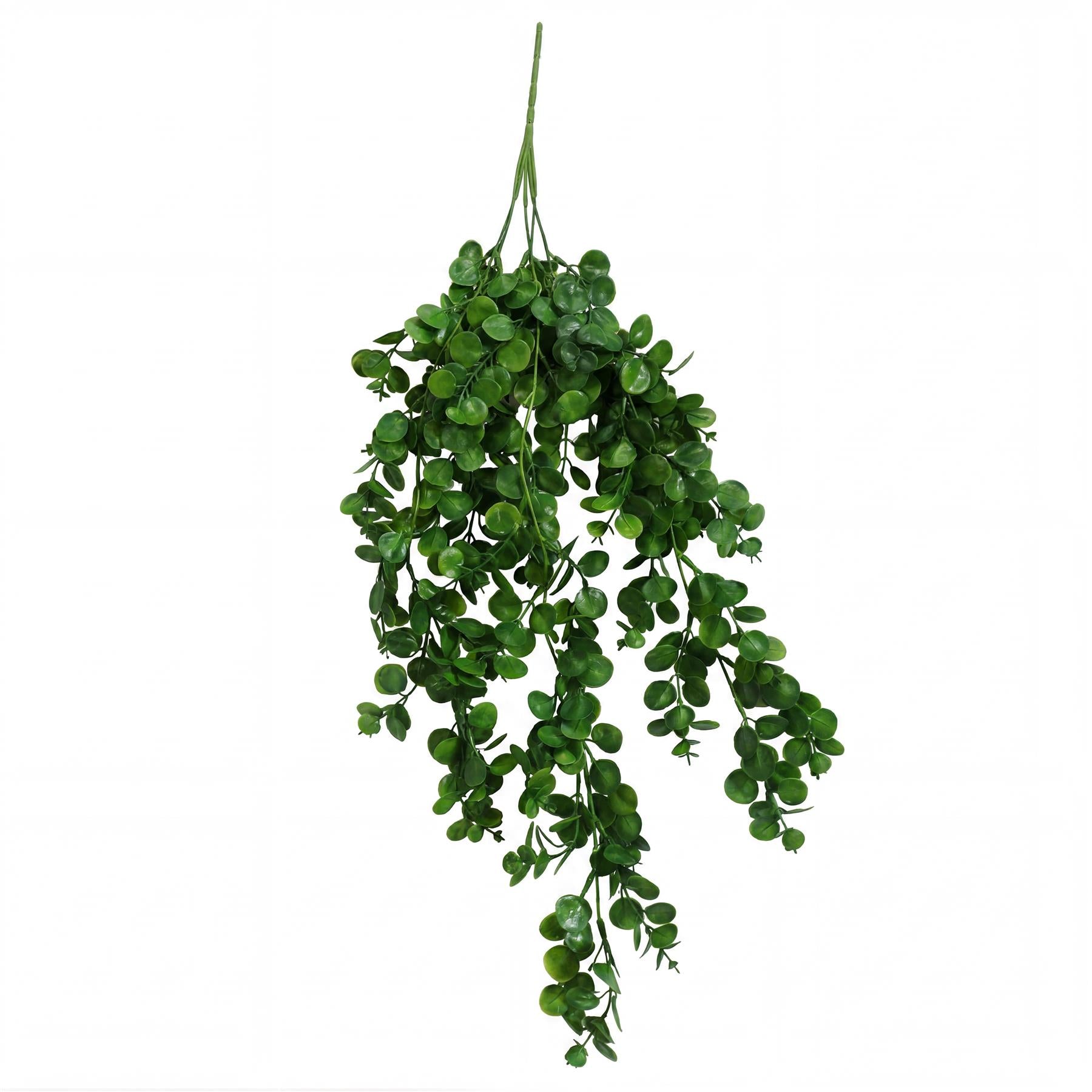 75cm Artificial Trailing Round Leaf Hanging Foliage Plant - Deep Forest Green - Single Plant
