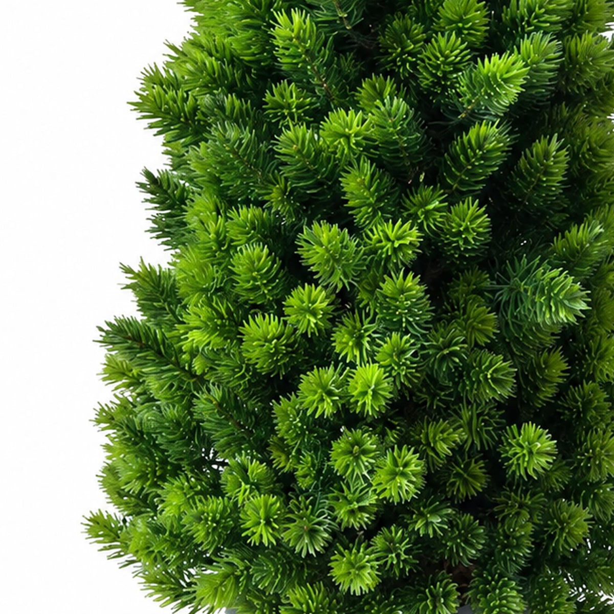 34cm Artificial Mini Pine Tree in Black Pot – image 2
