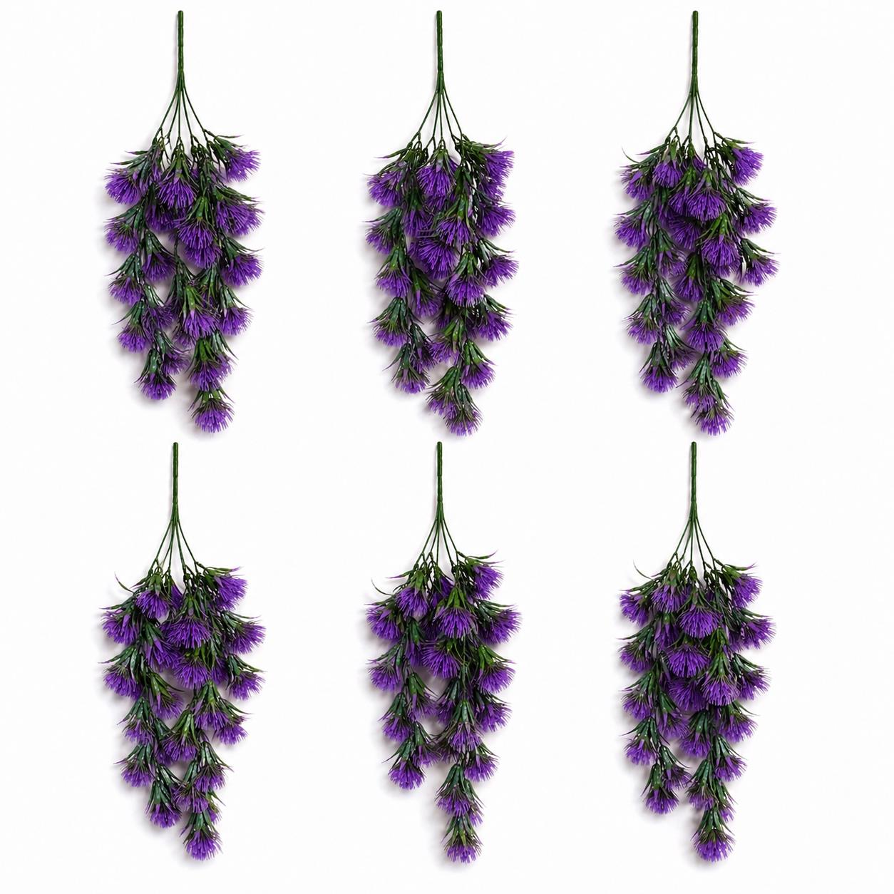 Purple thistle trailing hanging plant - Pack of 6