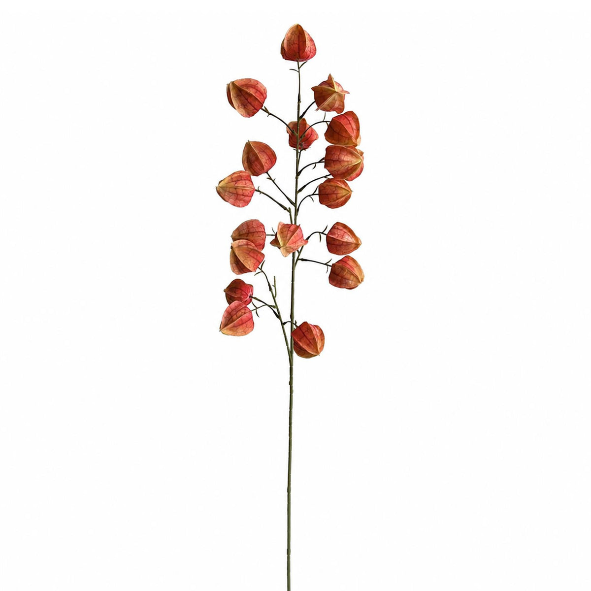 100cm Artificial Chinese Lantern Physalis Spray