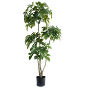 150cm Radermachera Realistic Artificial Tree