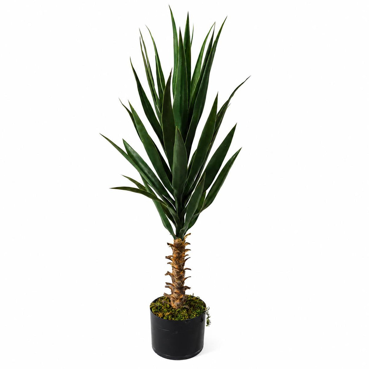 100cm Artificial Yucca Tree in Pot – image 4