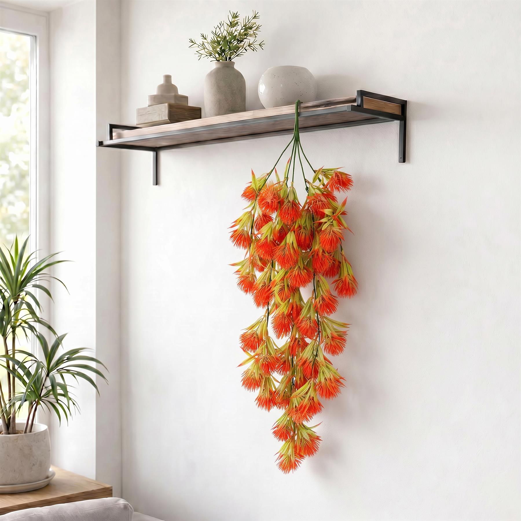 Red thistle trailing hanging plant