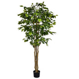 180cm Artificial Fire Retardant Deluxe Retusa Ficus Tree With 1134 Leaves