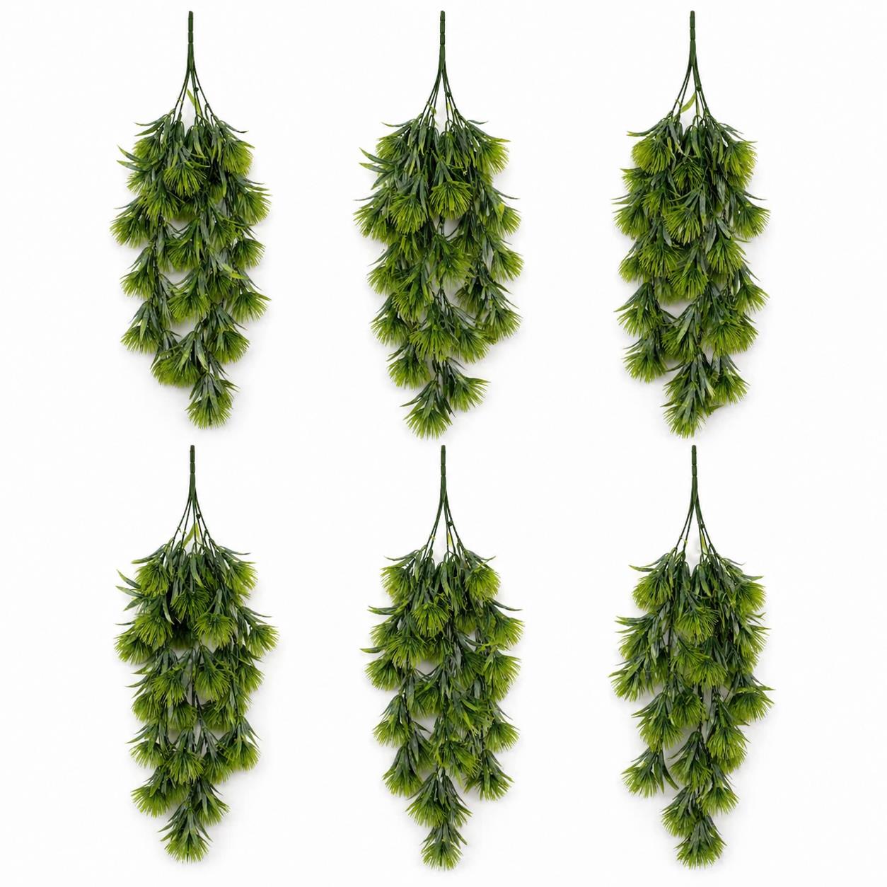 Green thistle trailing hanging plant - Pack of 6