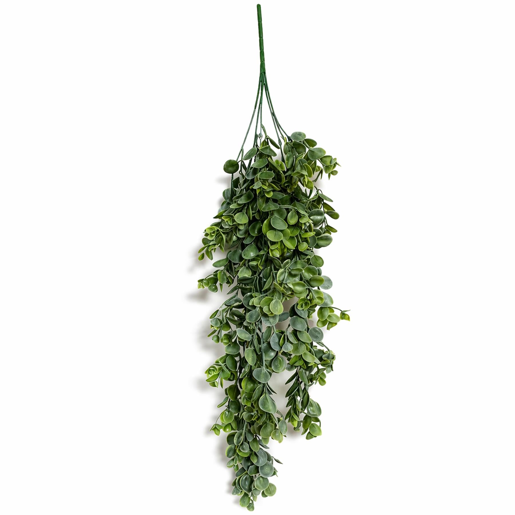 75cm Artificial Trailing Round Leaf Hanging Foliage Plant - Bright Lime Green - Single Plant