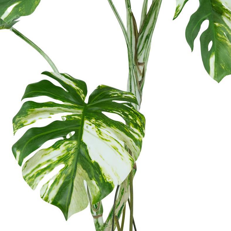 120cm Artificial Variegated Monstera Tree – image 2