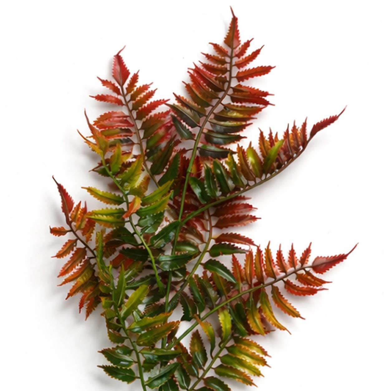 50 cm Künstlicher Farnstiel – Herbstorange