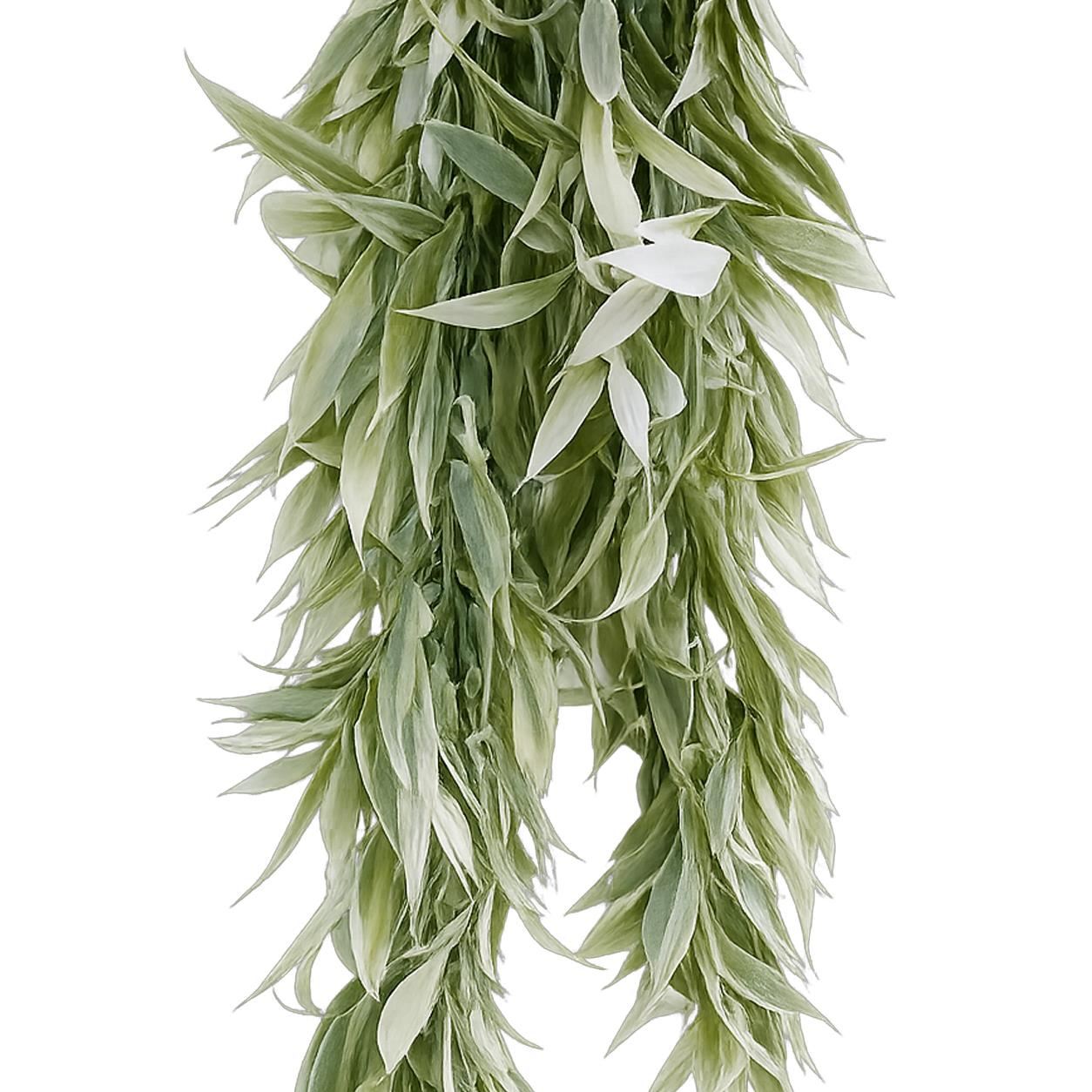 80 cm künstliche italienische Ruscus-Hängepflanze mit realistischem Laub – hellgrün