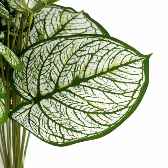 60 cm Künstliche Caladium-Stielpflanze, weiß-grün panaschiert, Kunstlaubarrangement